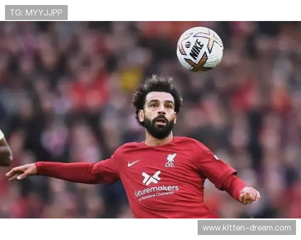 欧洲足球明星的年收入揭秘与职业生涯的经济影响分析